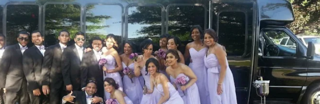 Birthday Bus  Hire Brooklyn