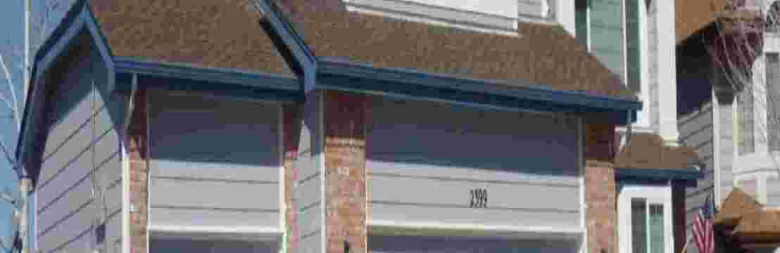 Pro Classic  Painting