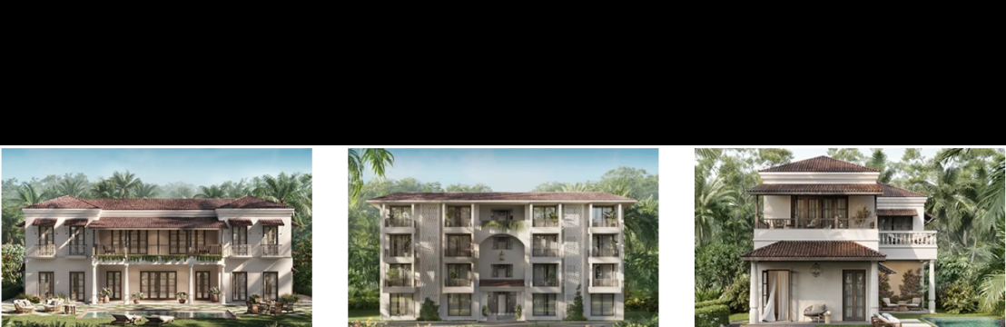 Vianaar Homes
