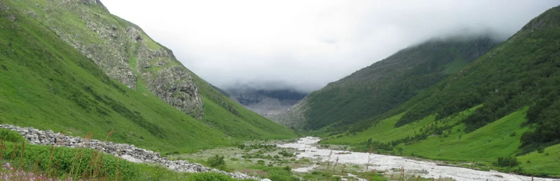 Valley Of Flowers