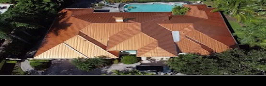 Roof Giants