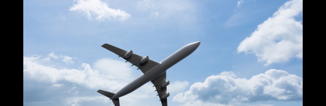 Rushmy Flight