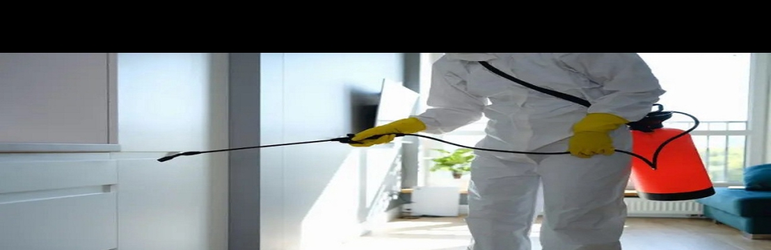 Mould  Medico