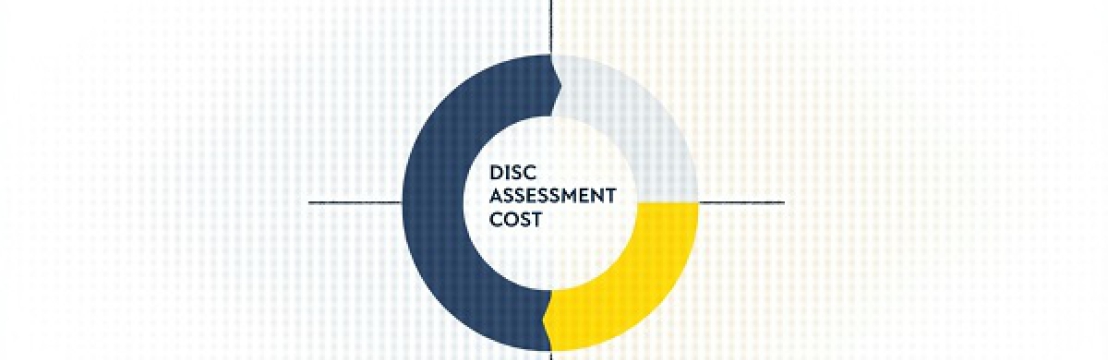 DISC Plus Profiles  LLC