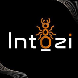 Intozi Tech Pvt Ltd