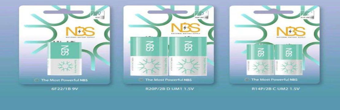 National Battery Supply