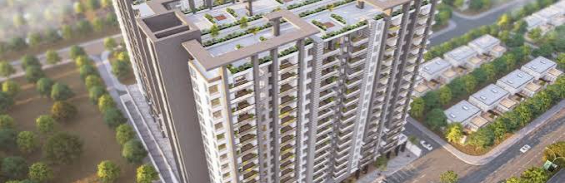 saima corporate