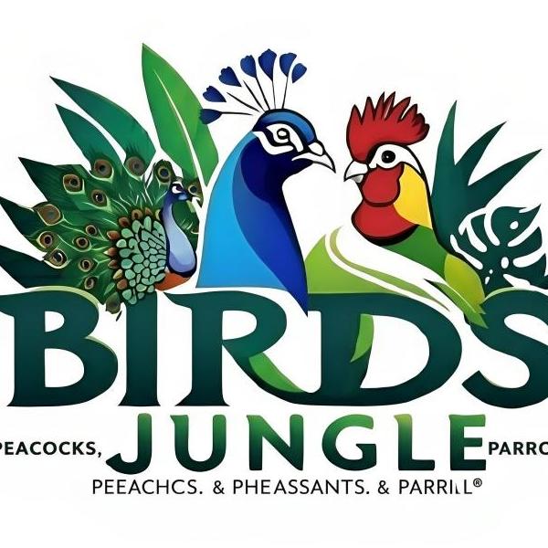 birdsjungle