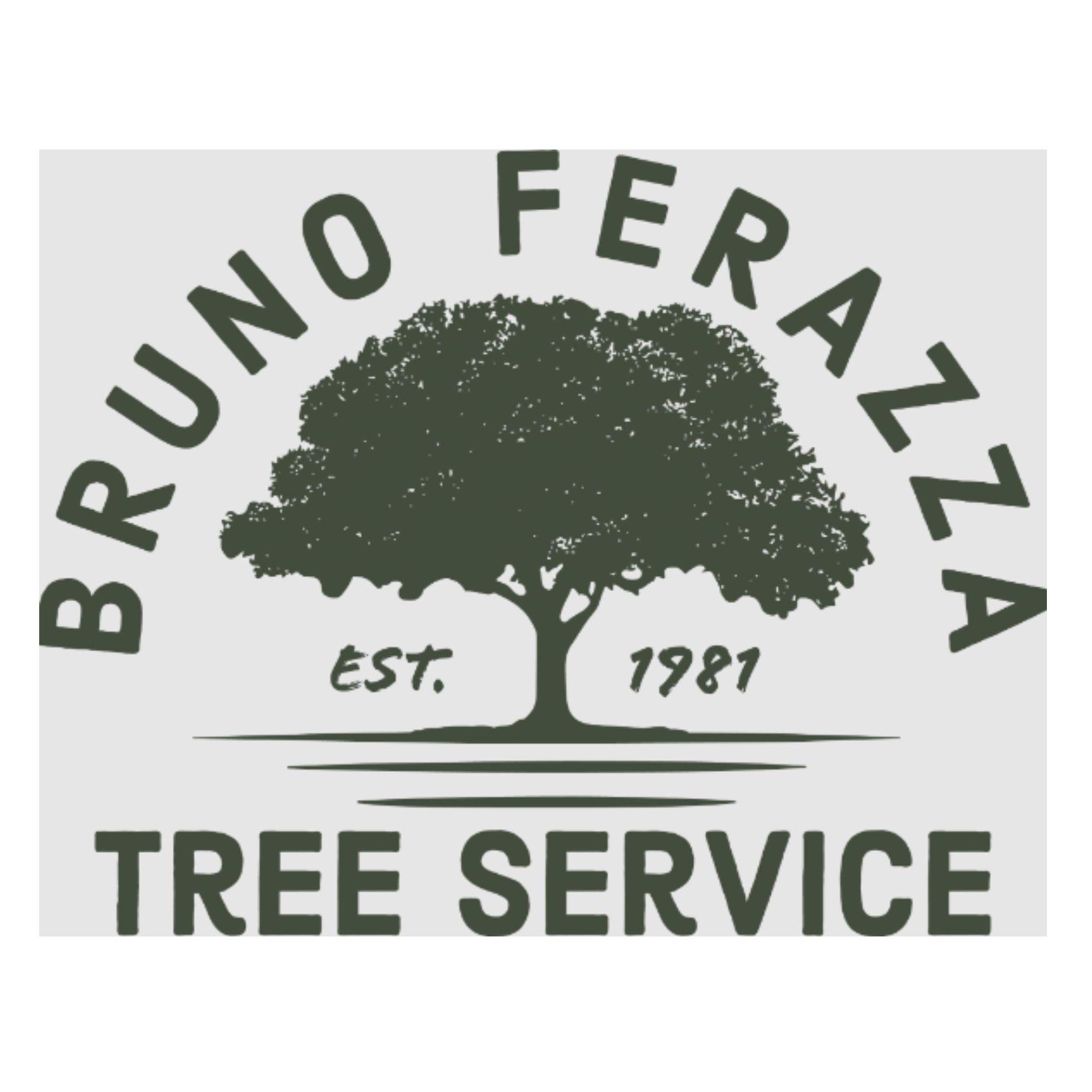 brunoferazza1